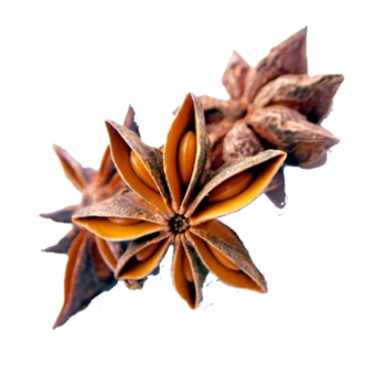 Stjerneanis aroma