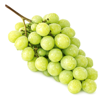 Vindrue aroma